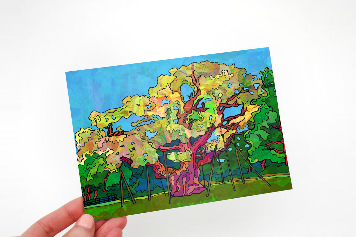Nottingham Postcard of Major Oak Tree in Sherwood Forest image 0