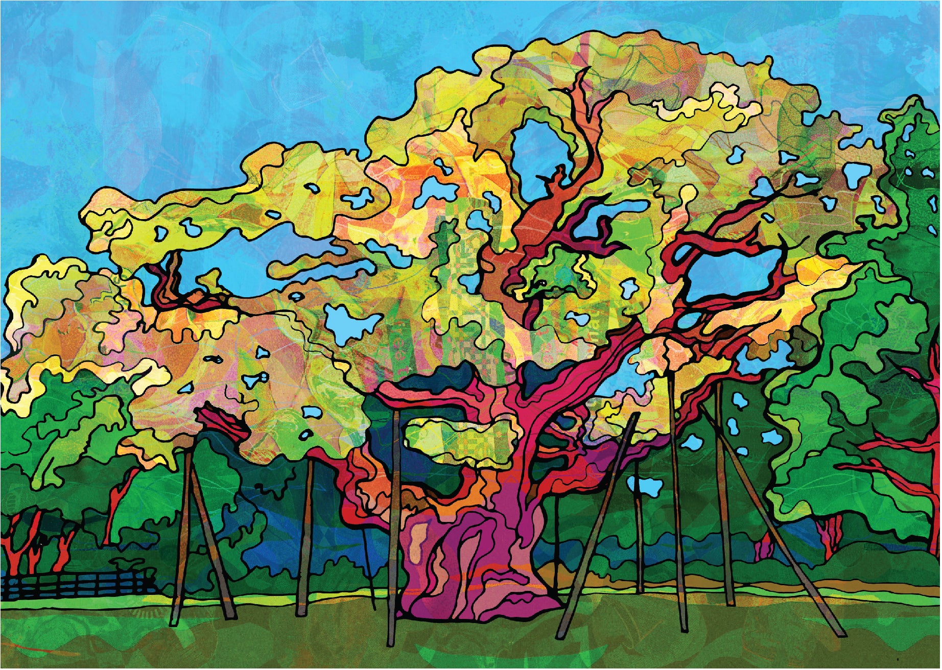 Major Oak Tree Sherwood Forest Art Print image 2